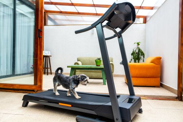 Treadmill Installation in Lawton