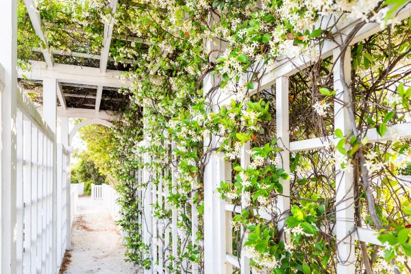Trellis Repair in Lawton