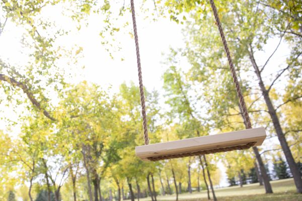 Tree Swing Installation in Lawton