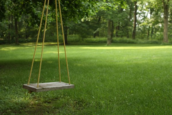 Rope Swing Installation in Lawton