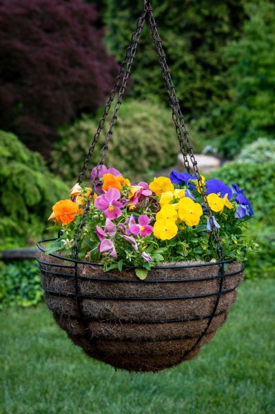 Hanging Basket Installation in Lawton