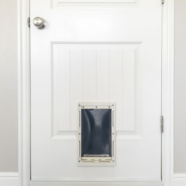 Pet Door Repair in Lawton