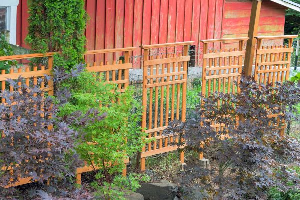 Wood Trellis Mounting in Lawton