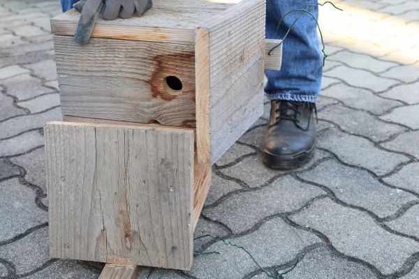 Birdhouse Mounting in Lawton