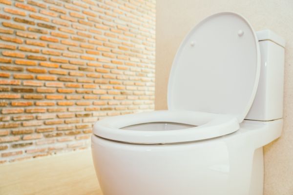 Toilet Seat Repair in Lawton