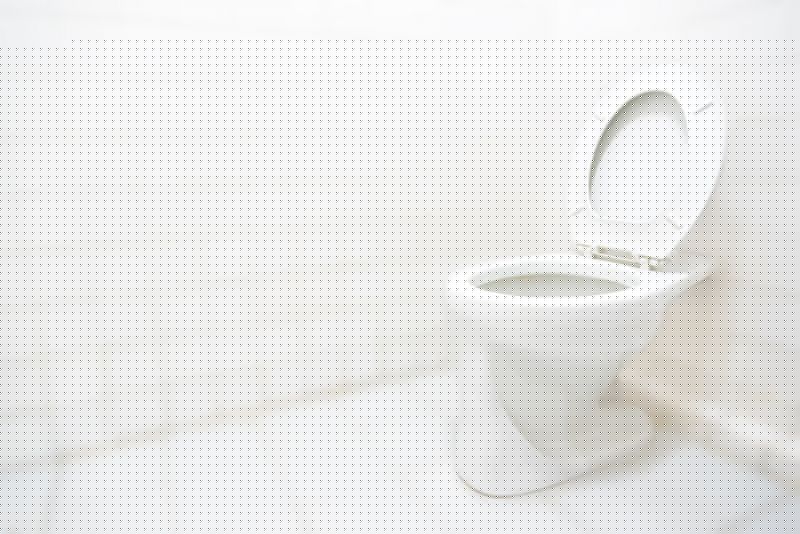 Toilet Lid Installation