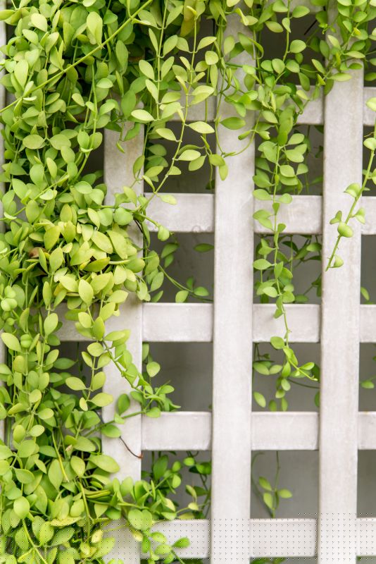 Wood Trellis Mounting