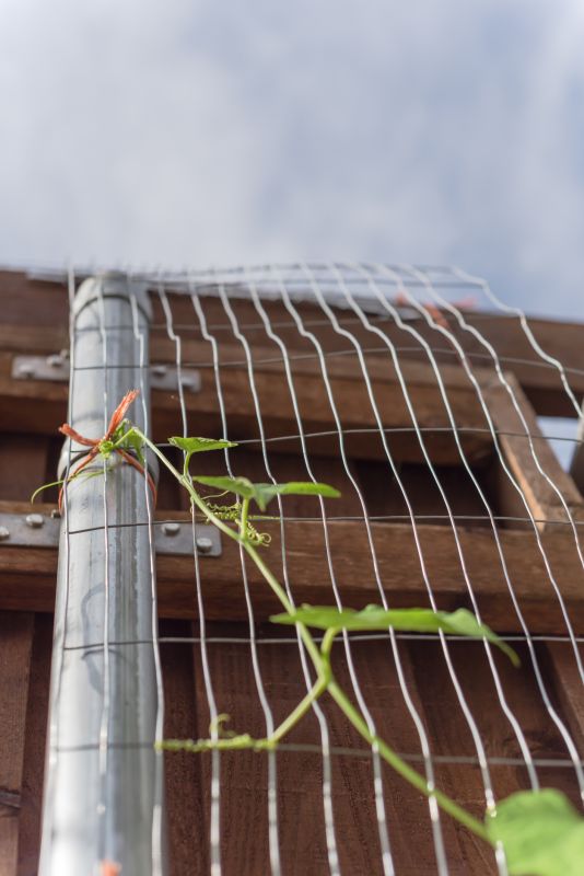 Wood Trellis Mounting